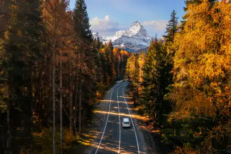 The road to Autumn