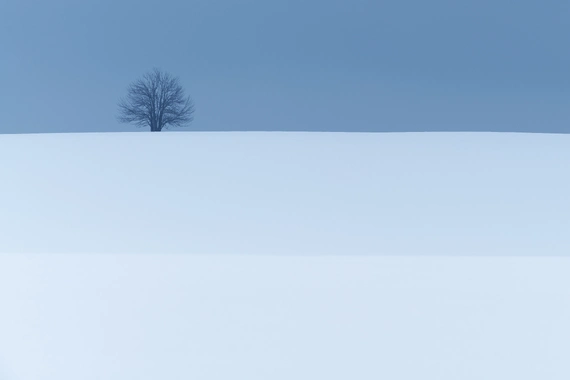 Небо, Дерево, Снег