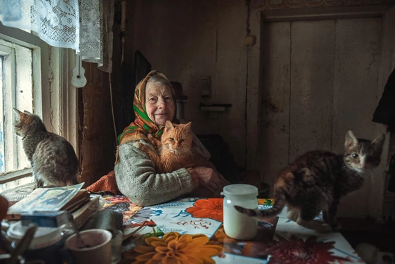 Бабушка Надя и ее кошки