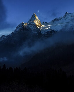 Живой архив